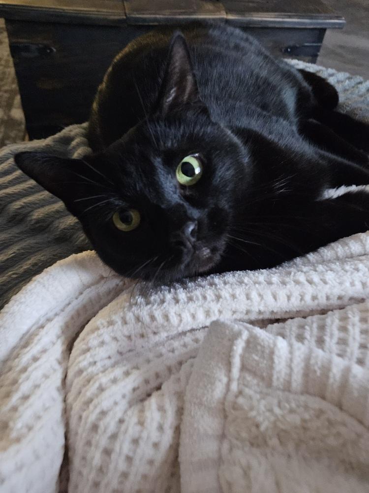 Reacher — thumbnail 5