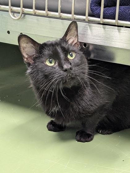 Baked Beans thumbnail 2