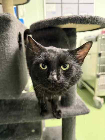 Baked Beans thumbnail 3