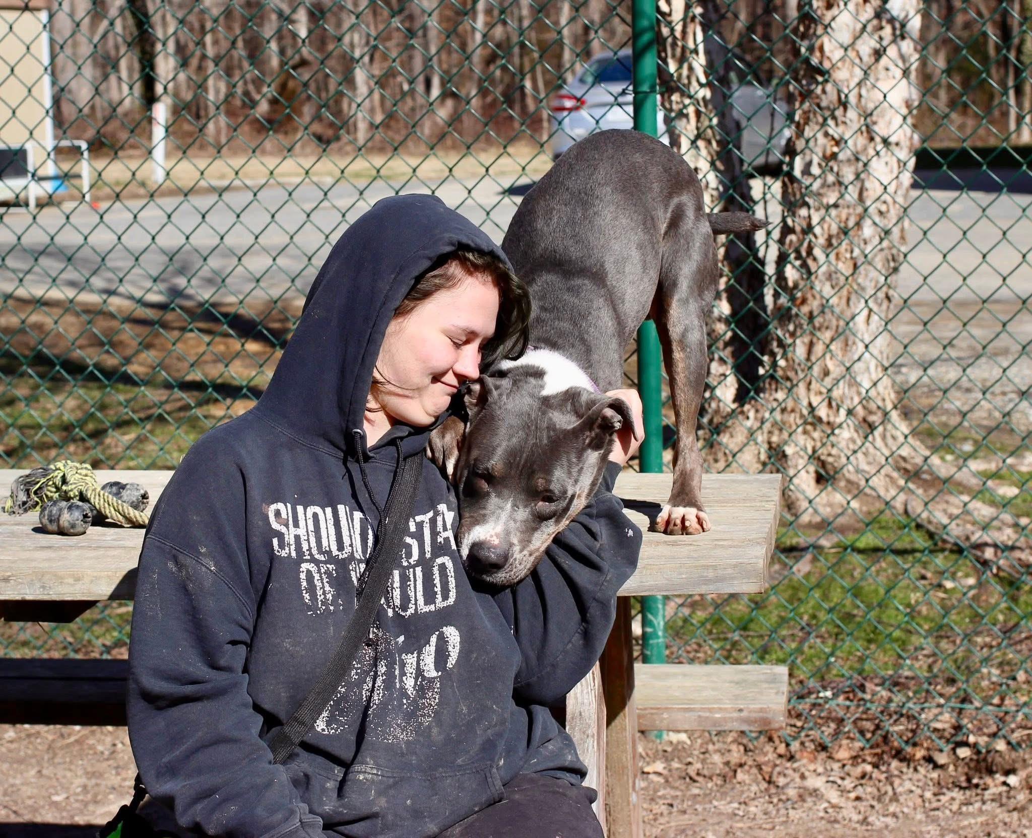 Pete, a Adoptable mixed breed in Saluda, VA image 5/6