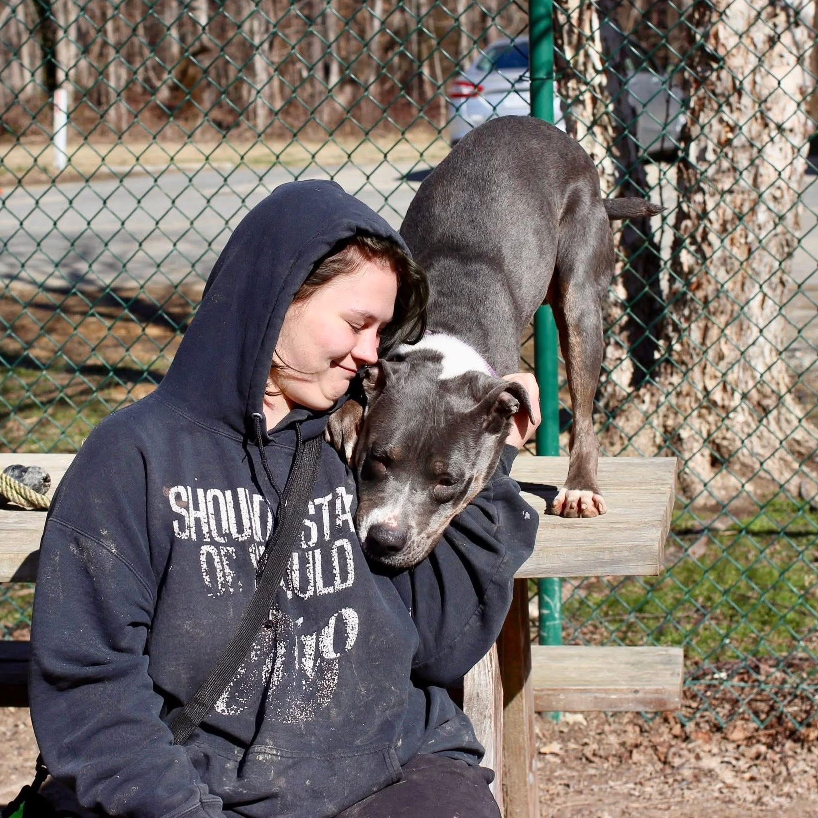 Enlarge Pete, a Adoptable mixed breed in Saluda, VA image 3/6