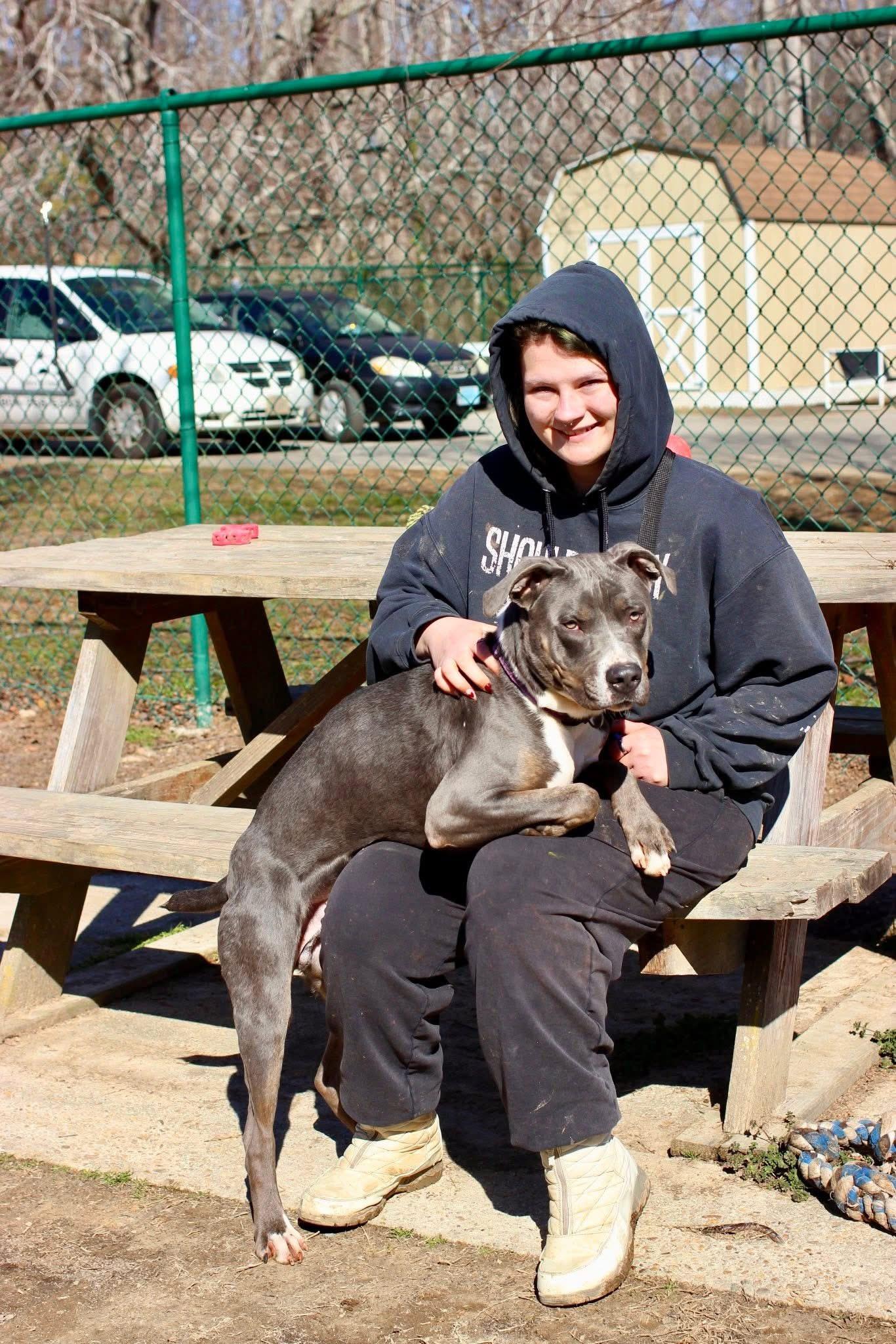 Pete, a Adoptable mixed breed in Saluda, VA image 6/6
