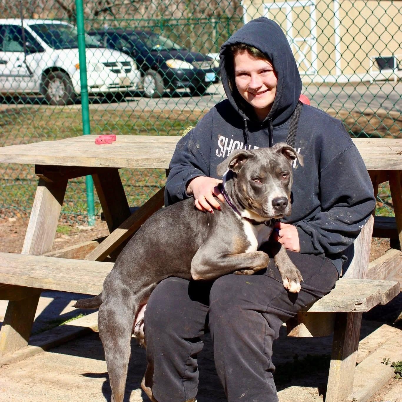 Enlarge Pete, a Adoptable mixed breed in Saluda, VA image 4/6