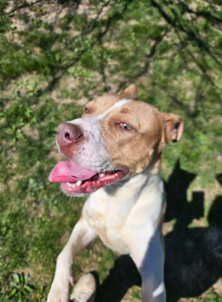 Journey, Adult Female unknown