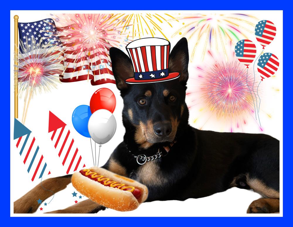 Ceasar, a Adoptable mixed breed in Tigard, OR image 2/5