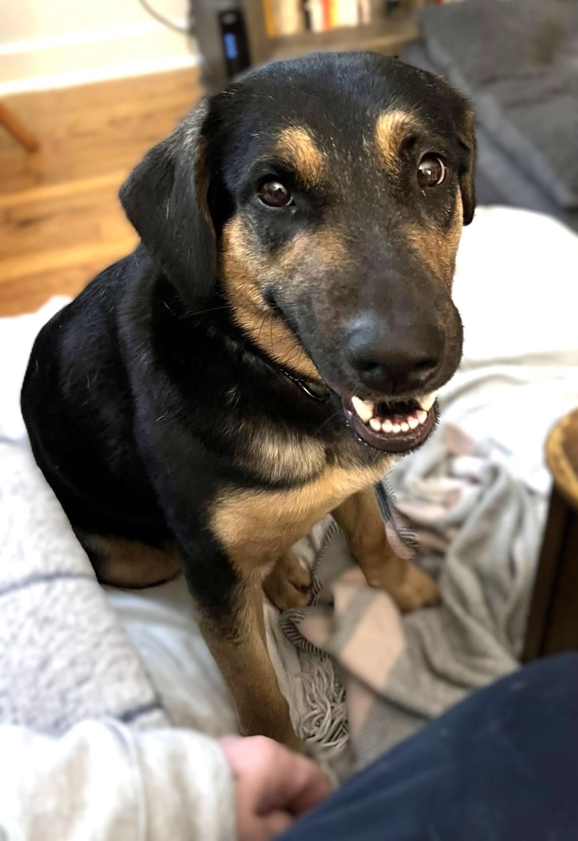 Katrina — thumbnail 6