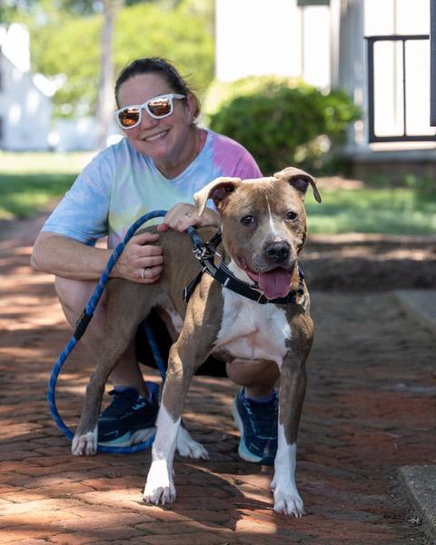 Enlarge Smalls, a ADOPTABLE Pit Bull Terrier in Powhatan, VA image 2/2