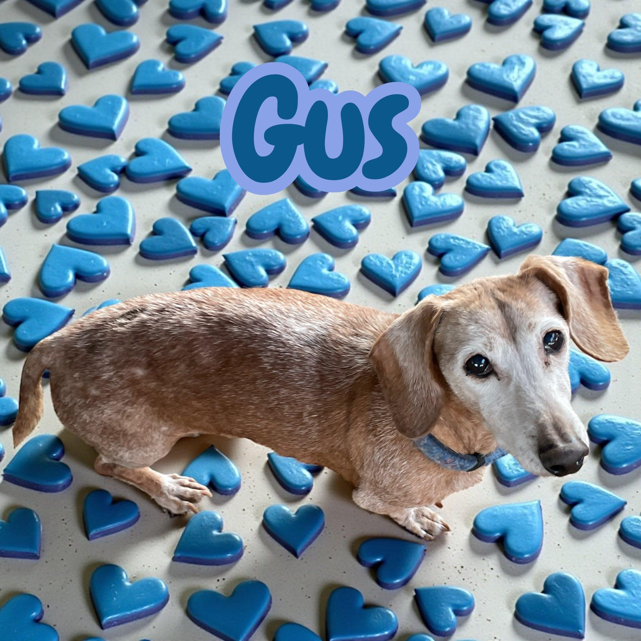 Tanner & Gus thumbnail 2