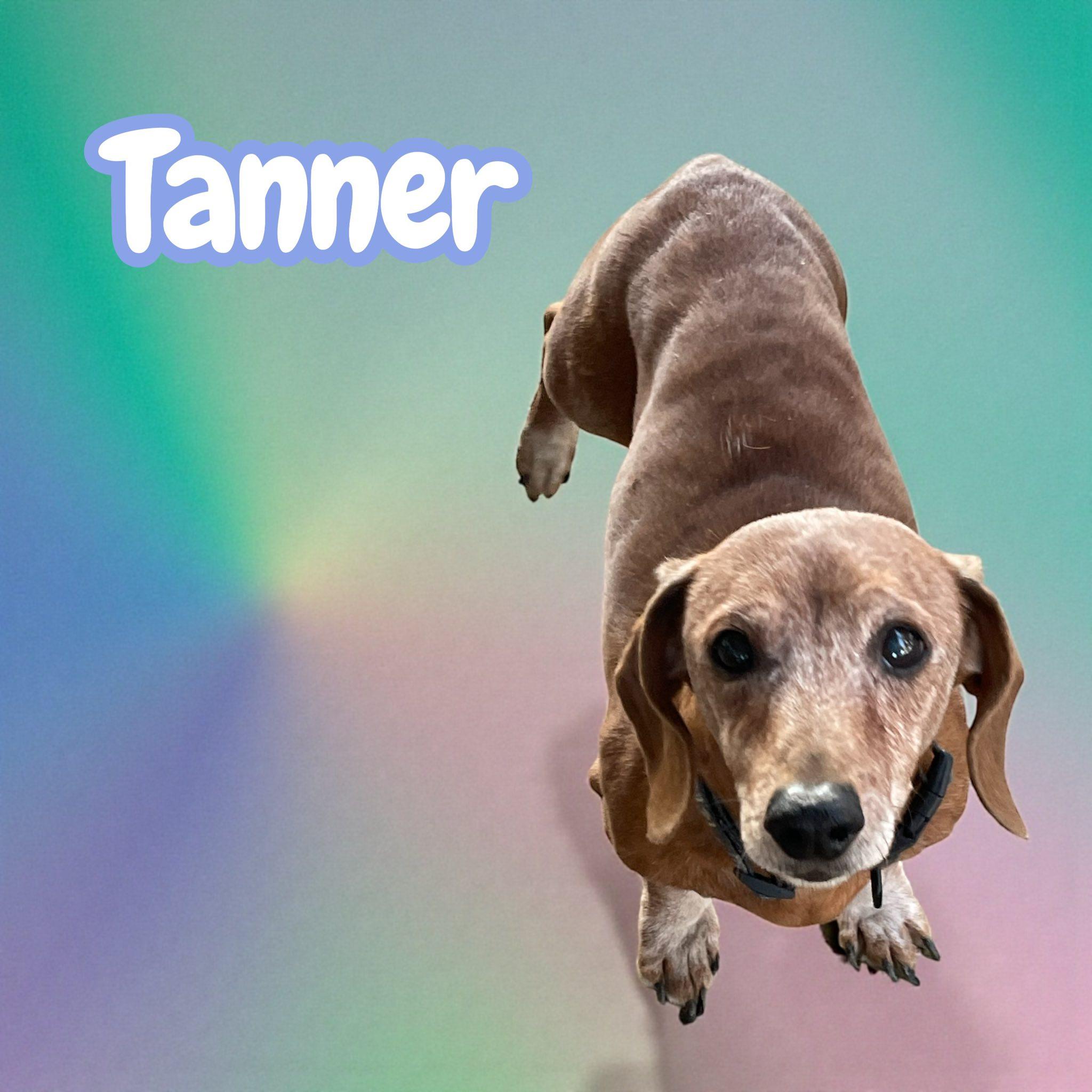 Tanner & Gus thumbnail 4