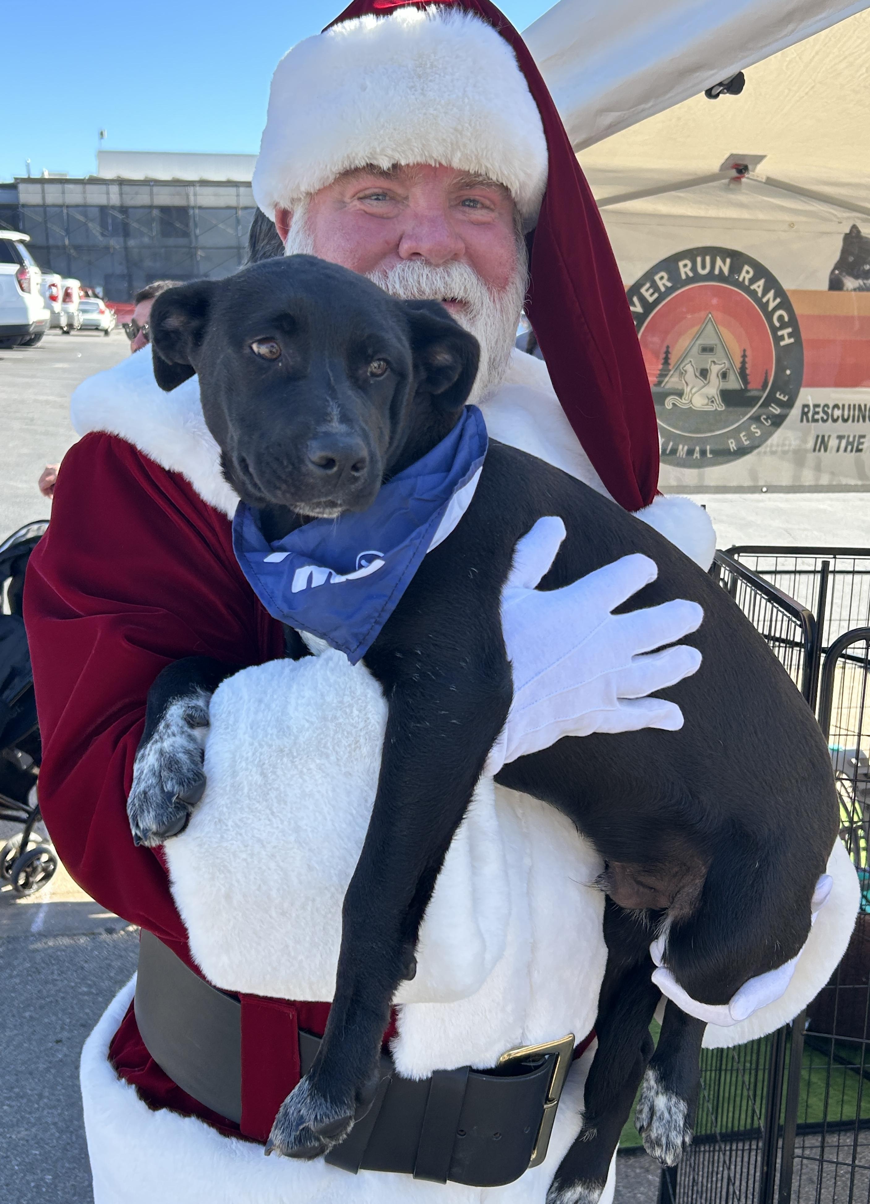 Mesquite thumbnail 3