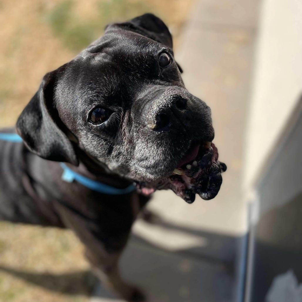 Folgers — thumbnail 2