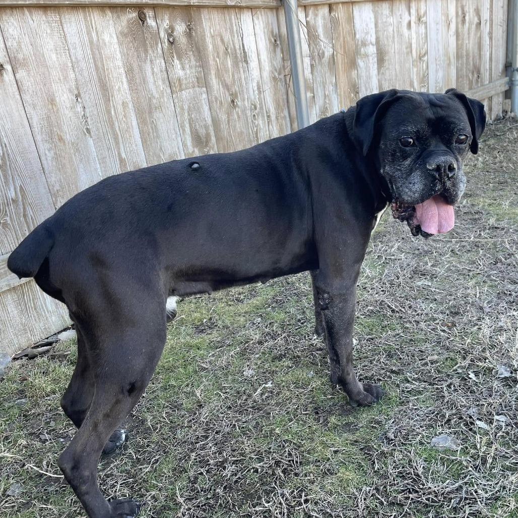 Folgers — thumbnail 3