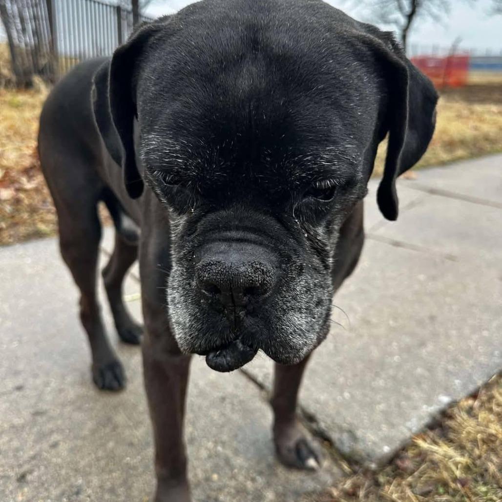 Folgers — thumbnail 4