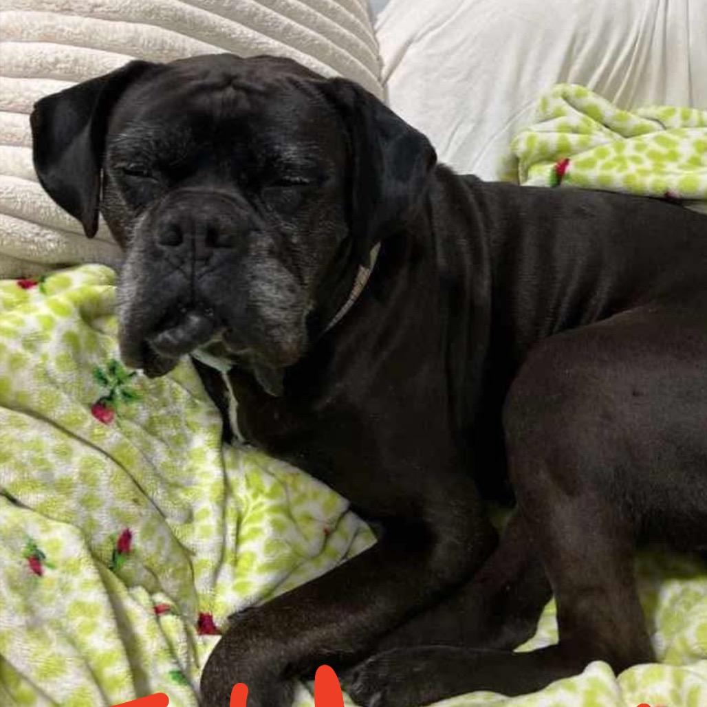 Folgers — thumbnail 5