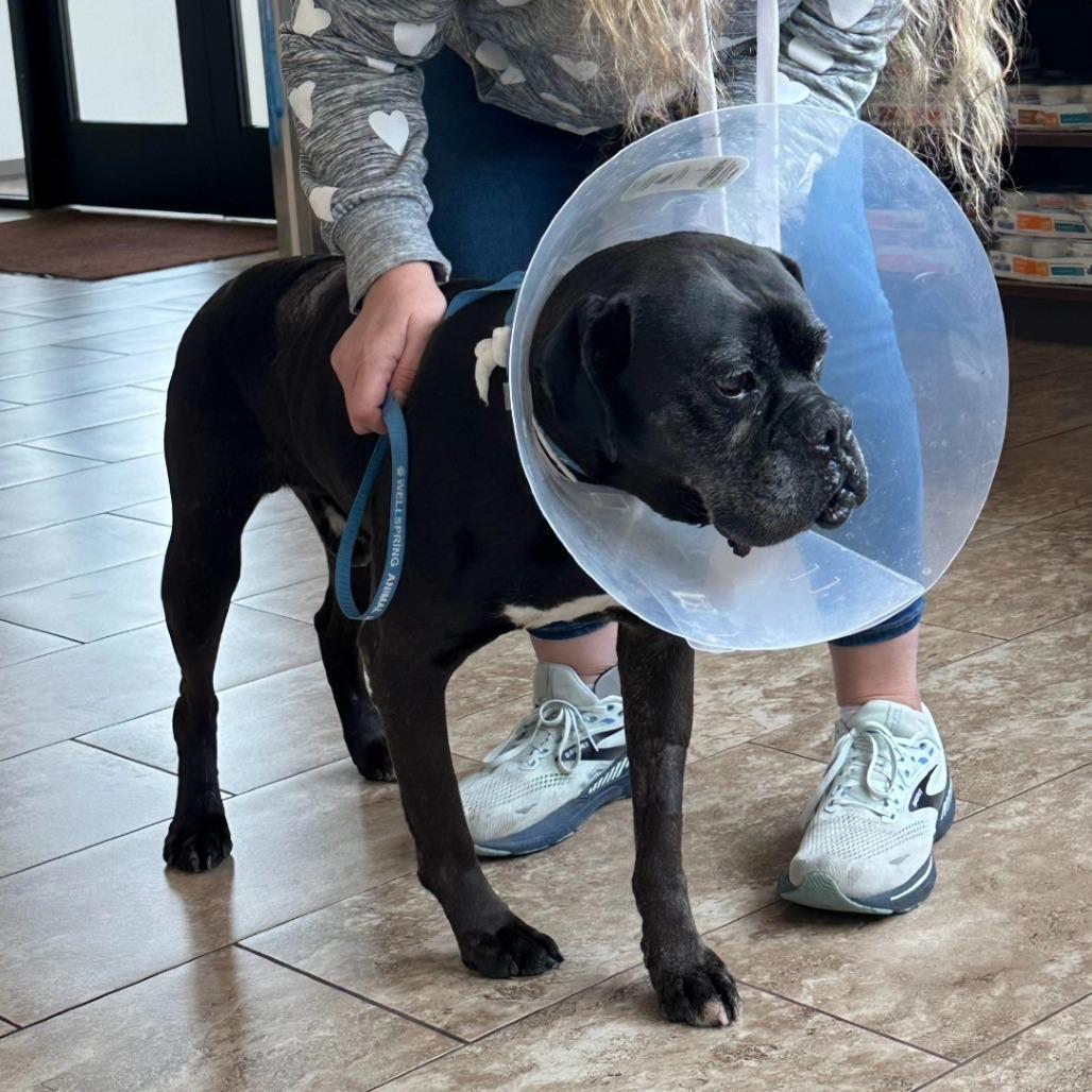 Folgers — thumbnail 6