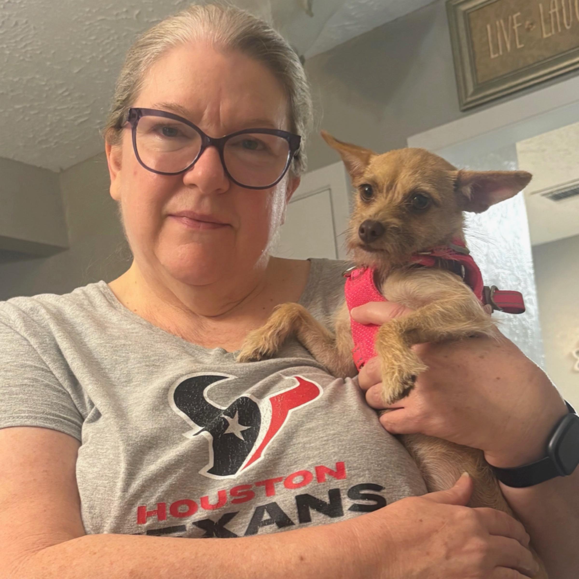 Enlarge Dallas, a Adopted mixed breed in Kingwood, TX image 2/4