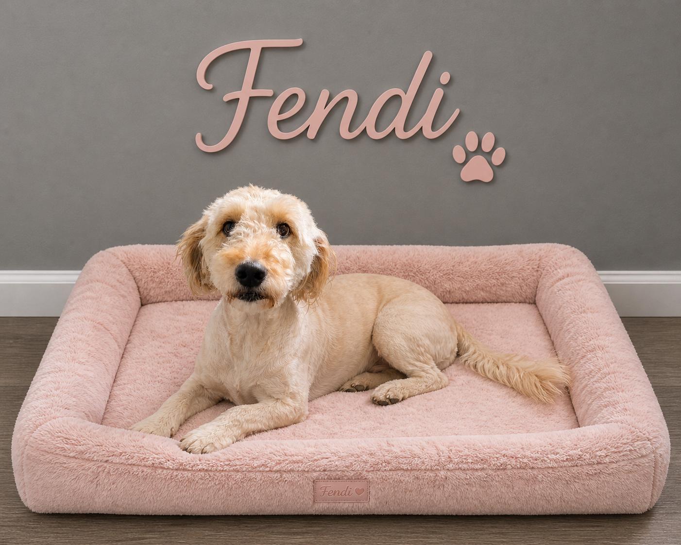 Fendi, adopted, Adult Female Goldendoodle.
