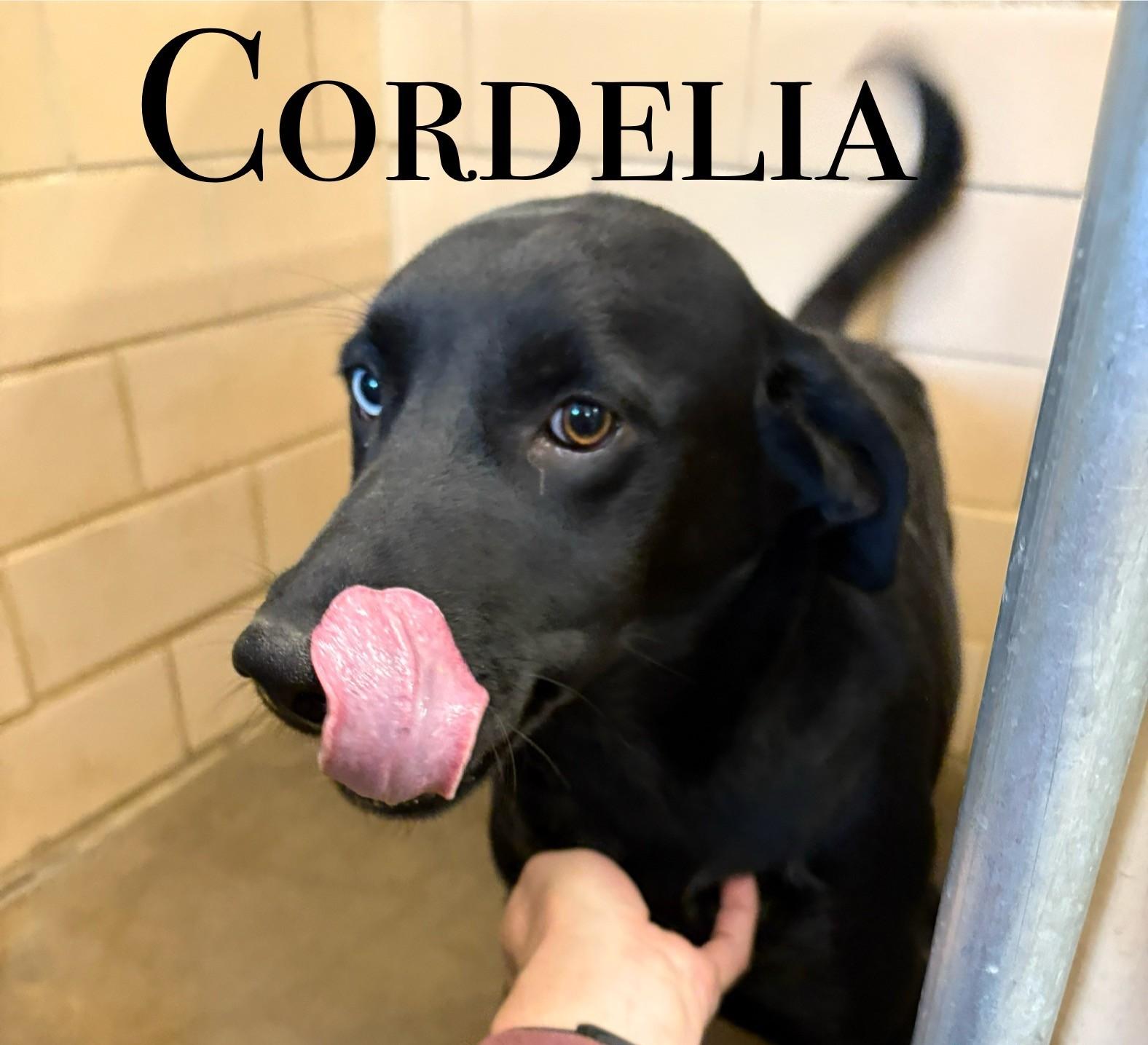 Cordelia
