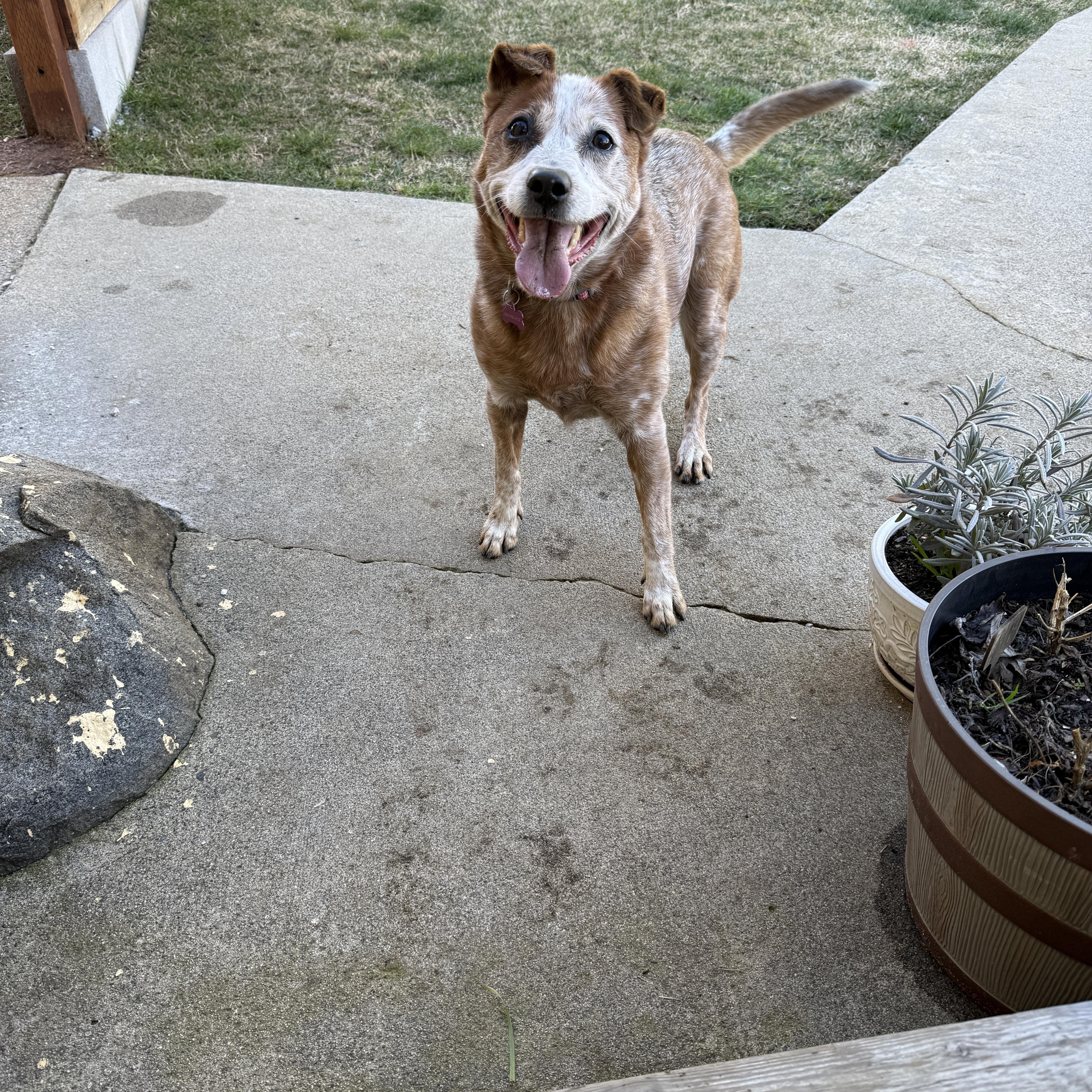 Elsa — thumbnail 2