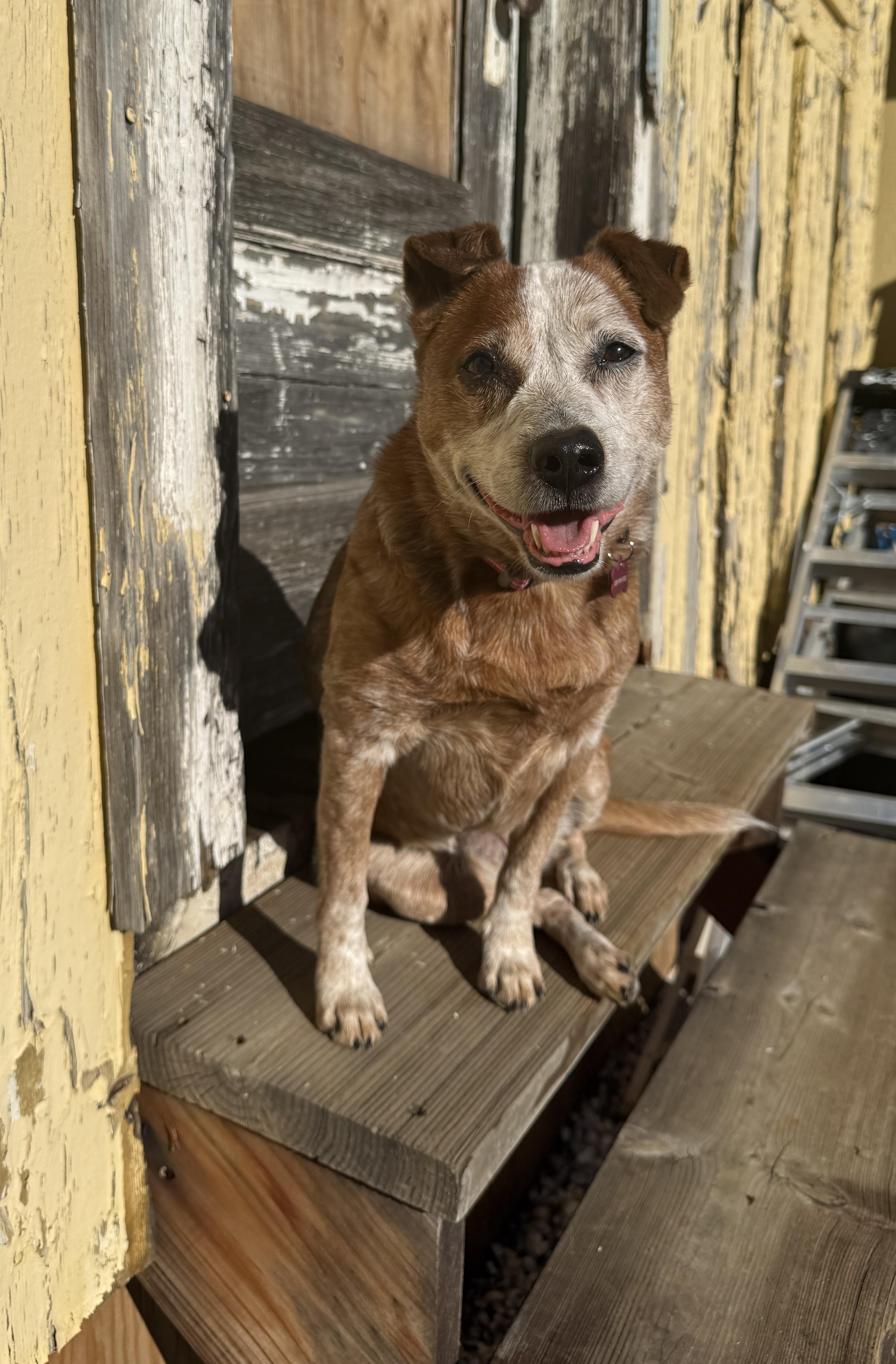 Elsa — thumbnail 3