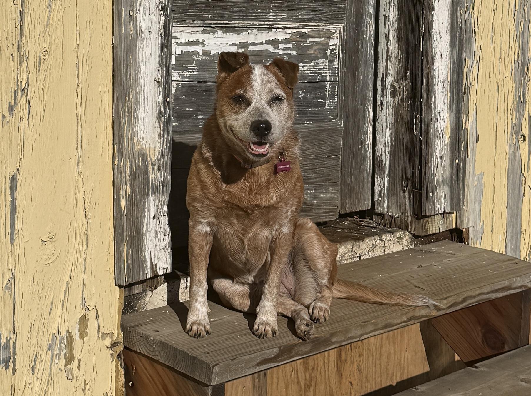 Elsa — thumbnail 5