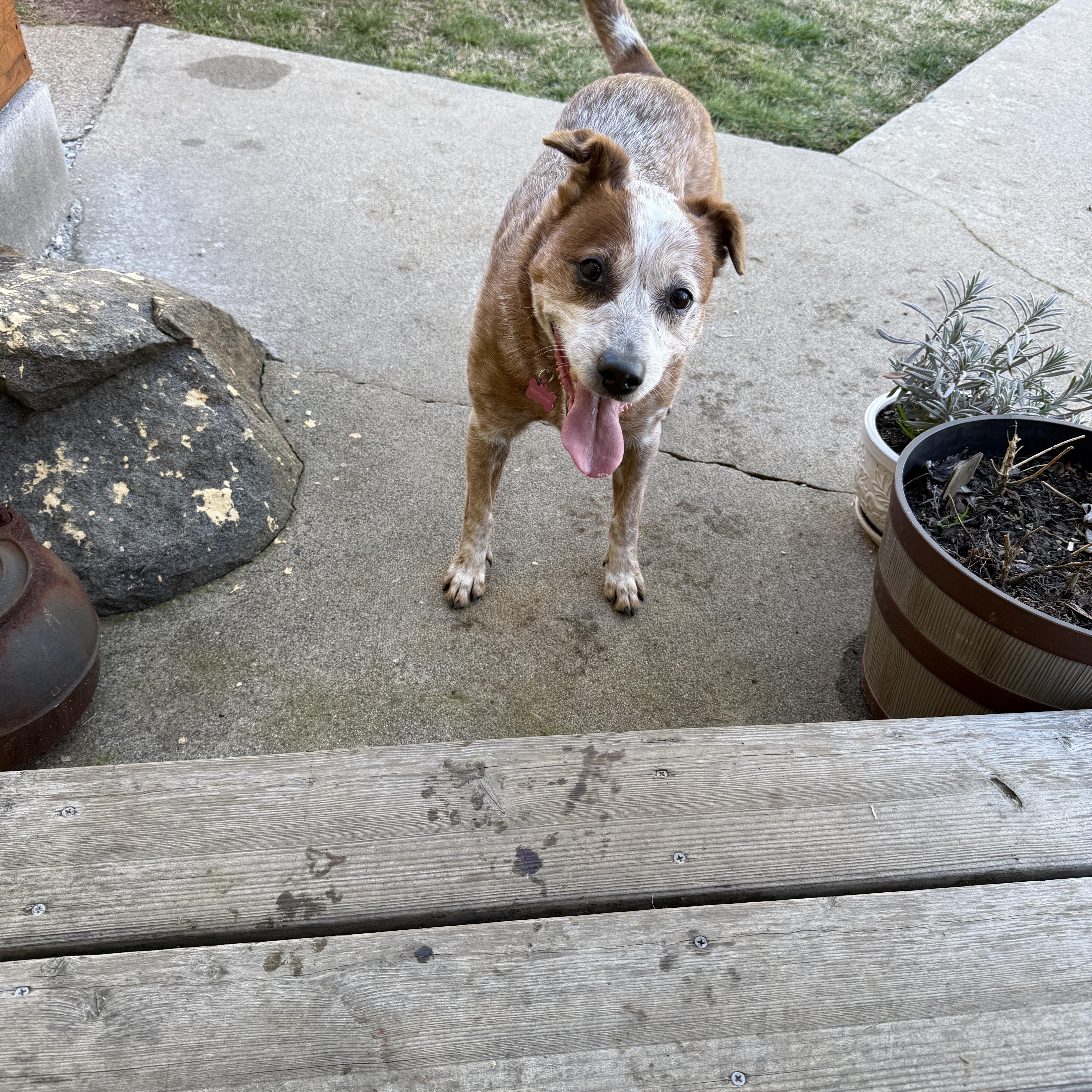 Elsa — thumbnail 6