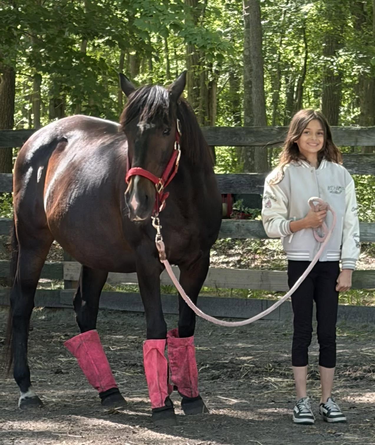 Enlarge Trixie, an adopted Thoroughbred in Wall, NJ image 1/6