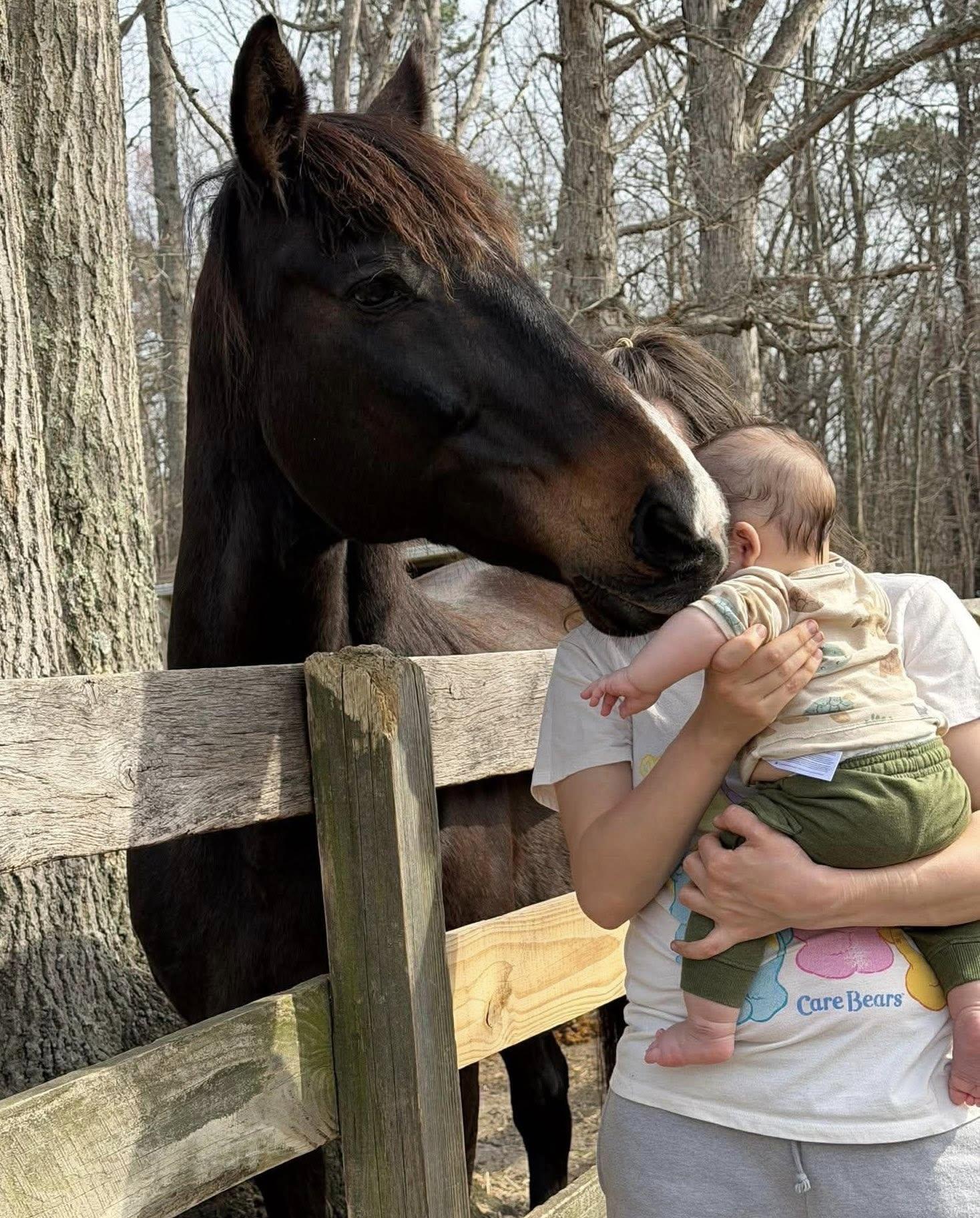 Enlarge Trixie, an adopted Thoroughbred in Wall, NJ image 4/6