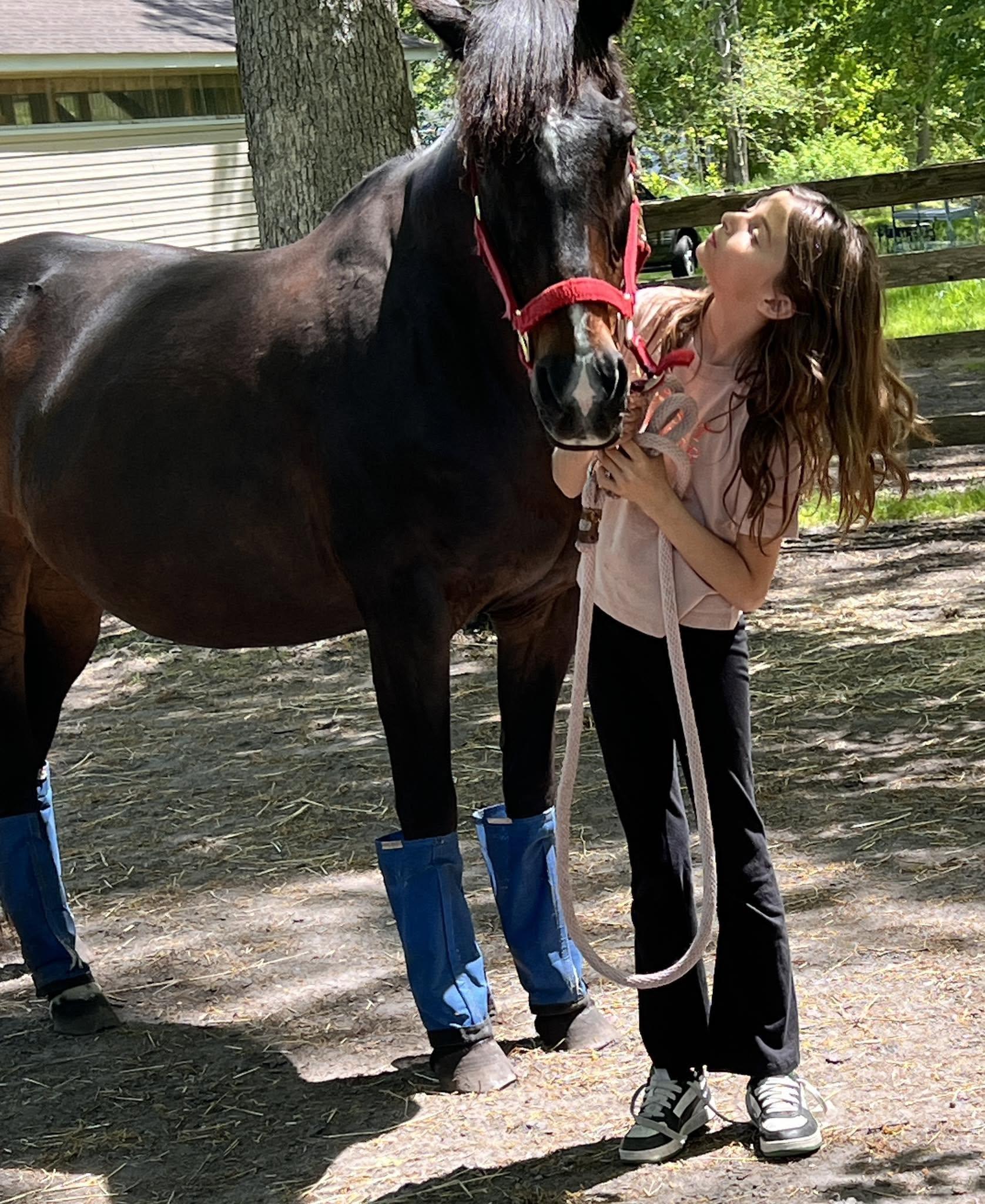 Enlarge Trixie, an adopted Thoroughbred in Wall, NJ image 3/6