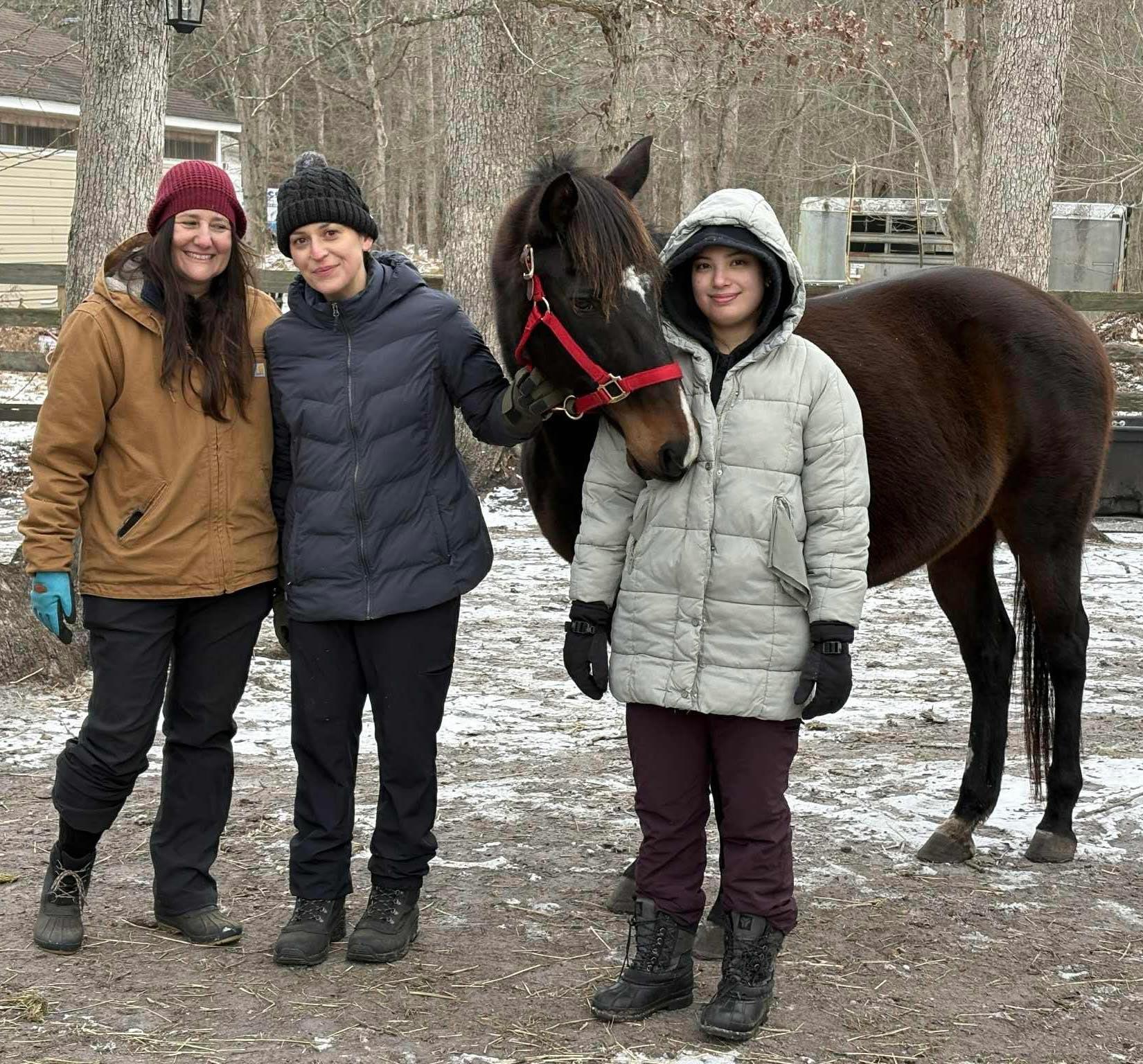 Trixie, a ADOPTABLE Thoroughbred in Wall, NJ image 2/3