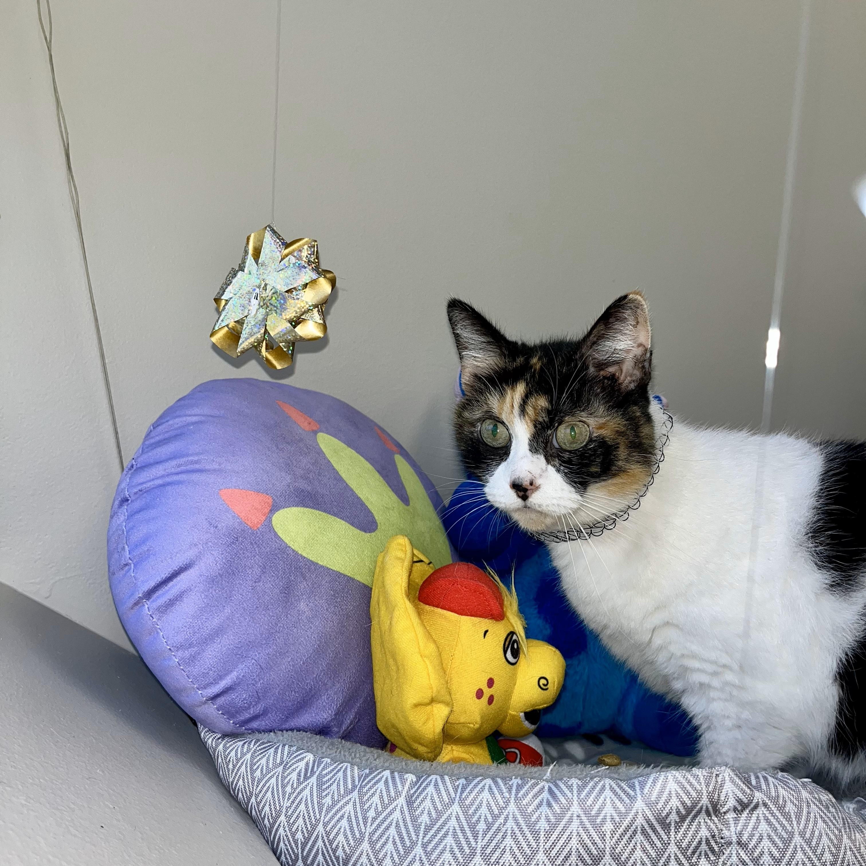 Earthquake — thumbnail 2