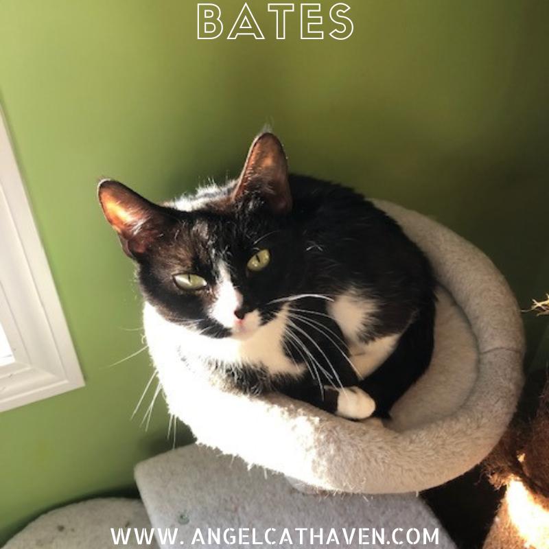 Bates