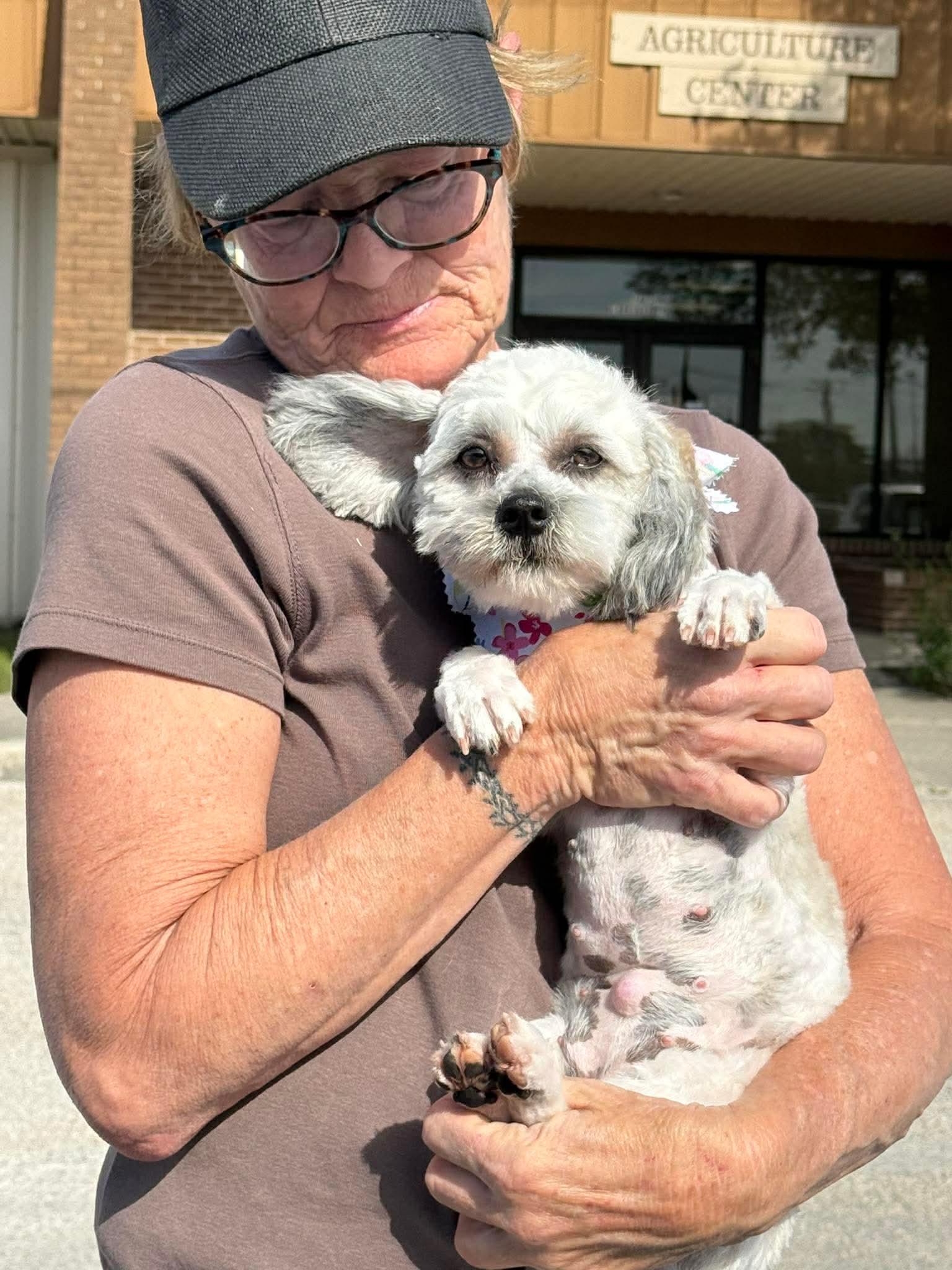 Enlarge Laci is luxury and lovely, an adopted mixed breed in Lockhart, TX image 2/6