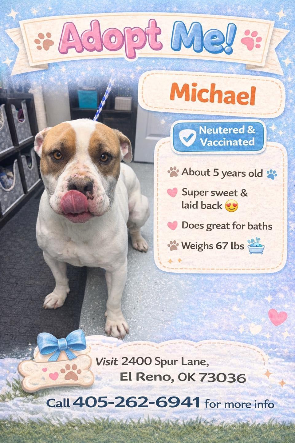 Enlarge Michael, a ADOPTABLE mixed breed in El Reno, OK image 1/1