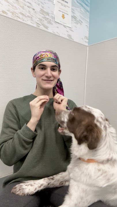 Enlarge Millie, a Adoptable mixed breed in Aurora, ON video 2/3