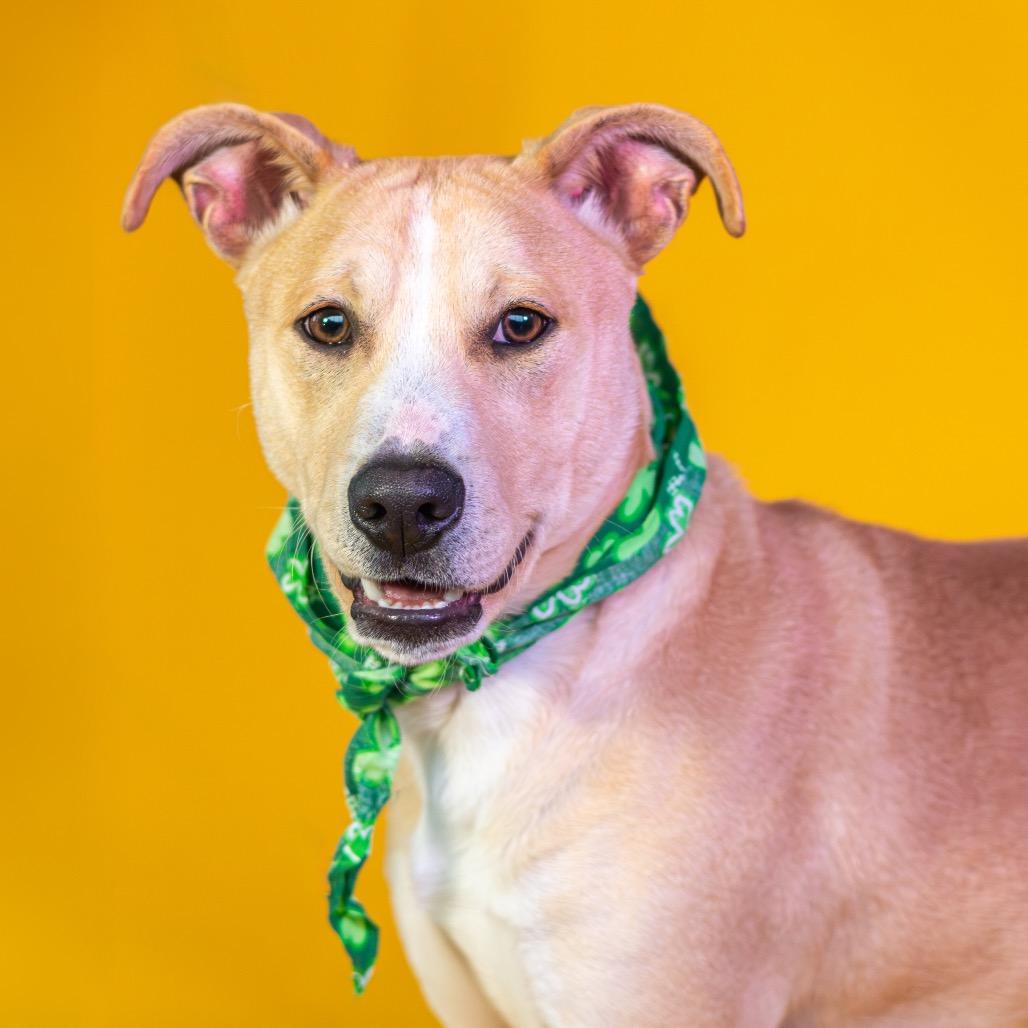 Rubble — thumbnail 3