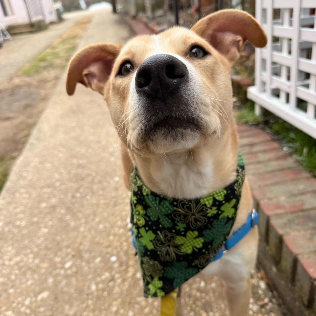 Rubble — thumbnail 4