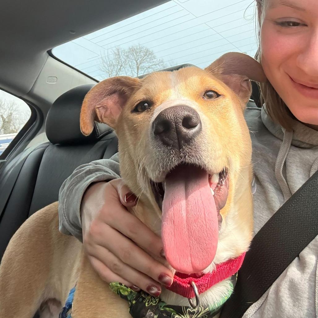 Rubble — thumbnail 5