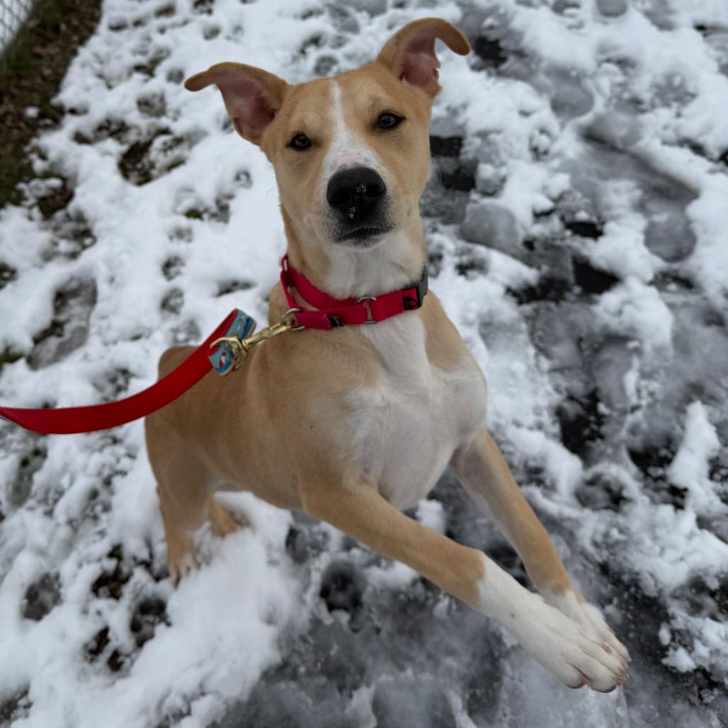 Rubble — thumbnail 6