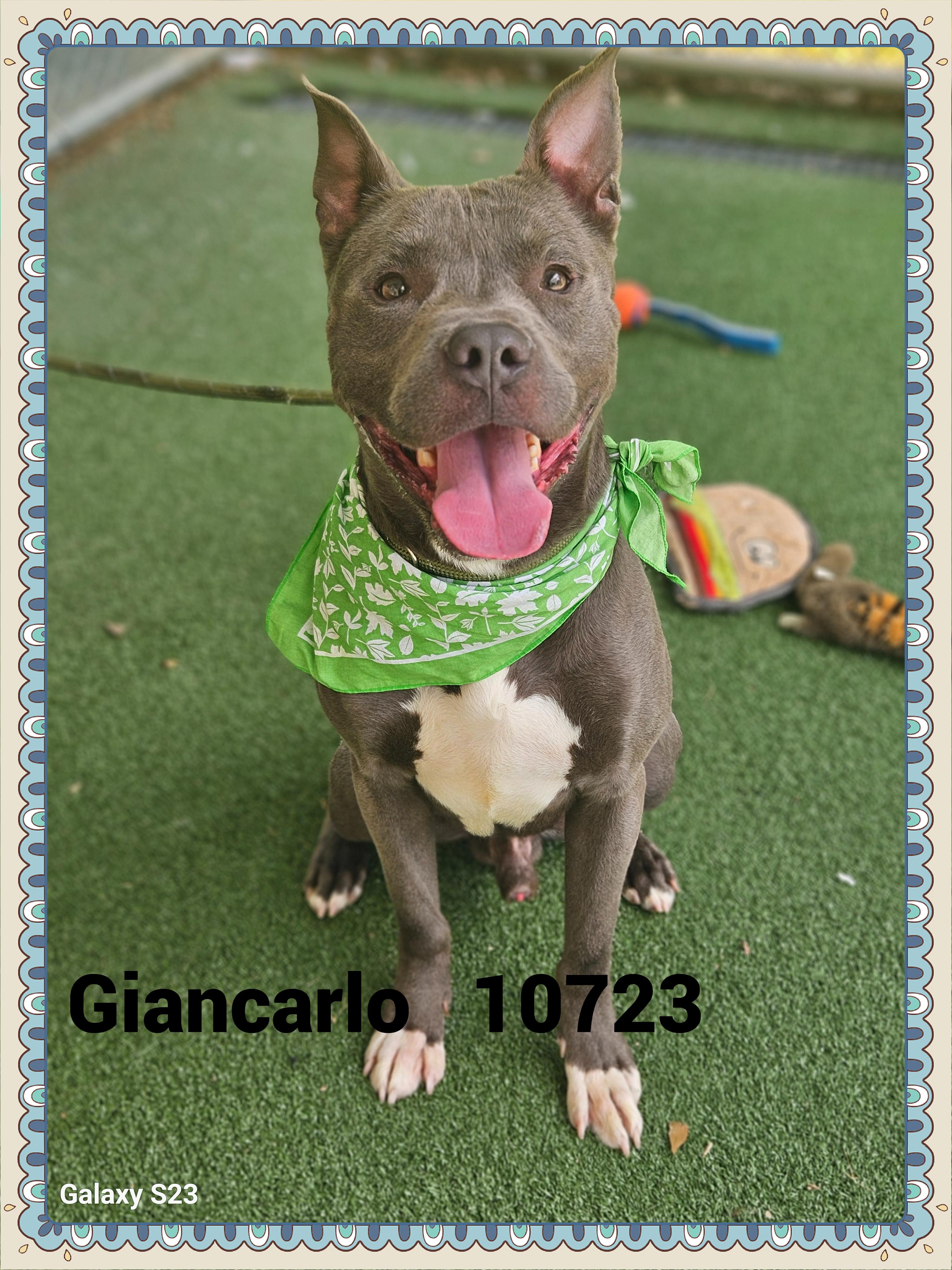 GIANCARLO