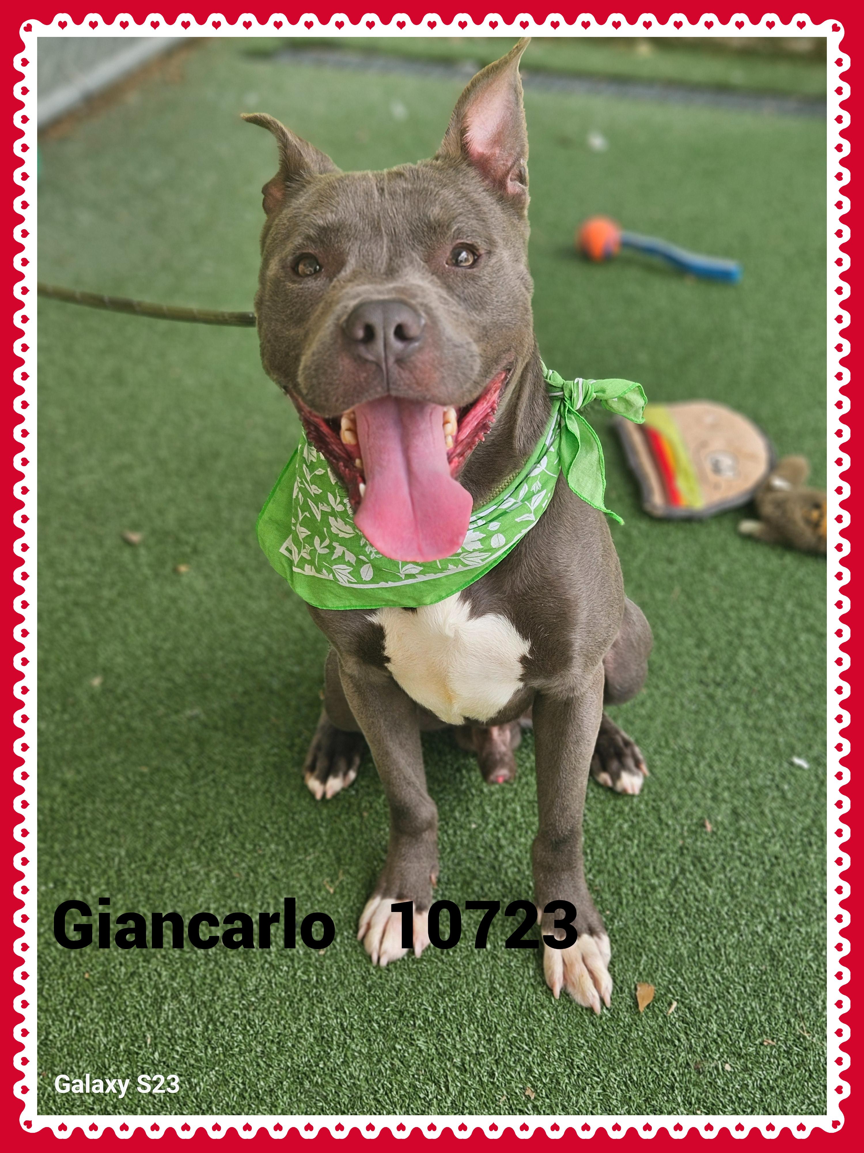 GIANCARLO