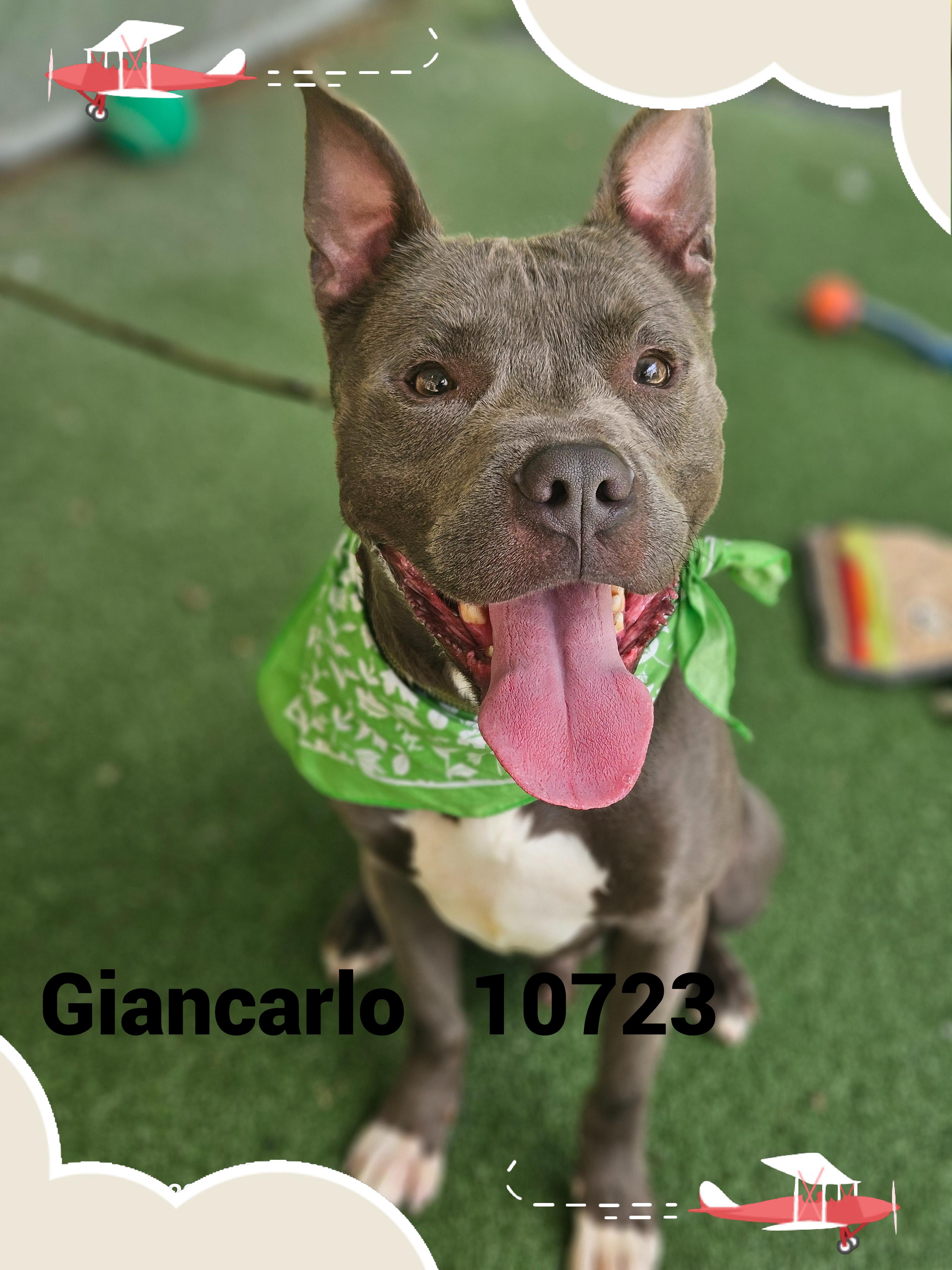 GIANCARLO