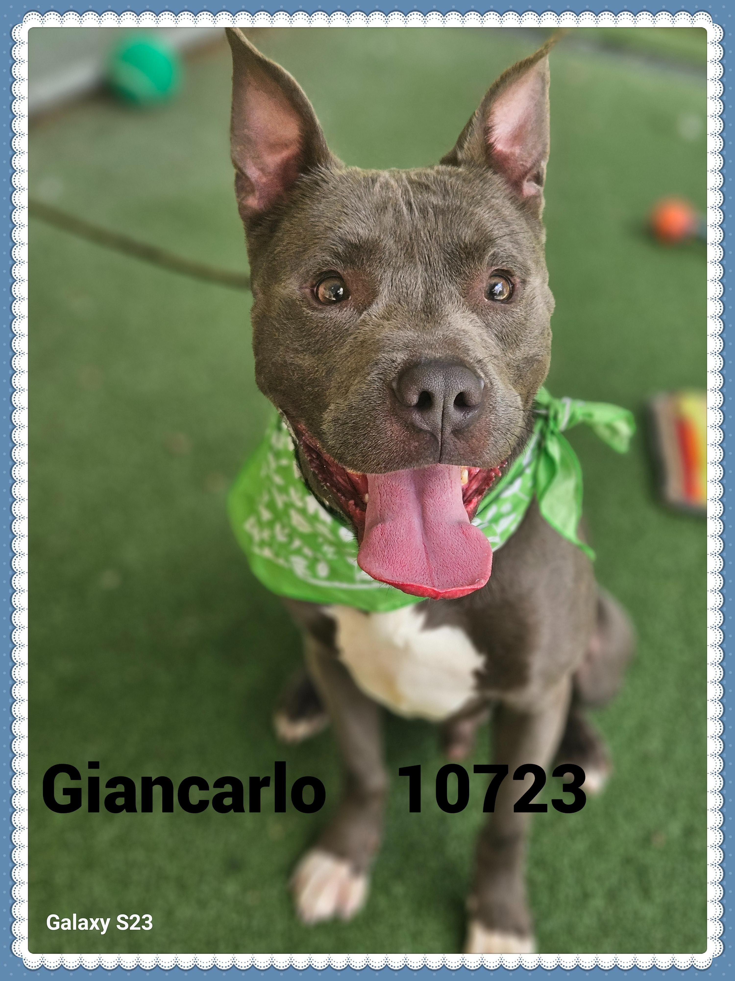 GIANCARLO