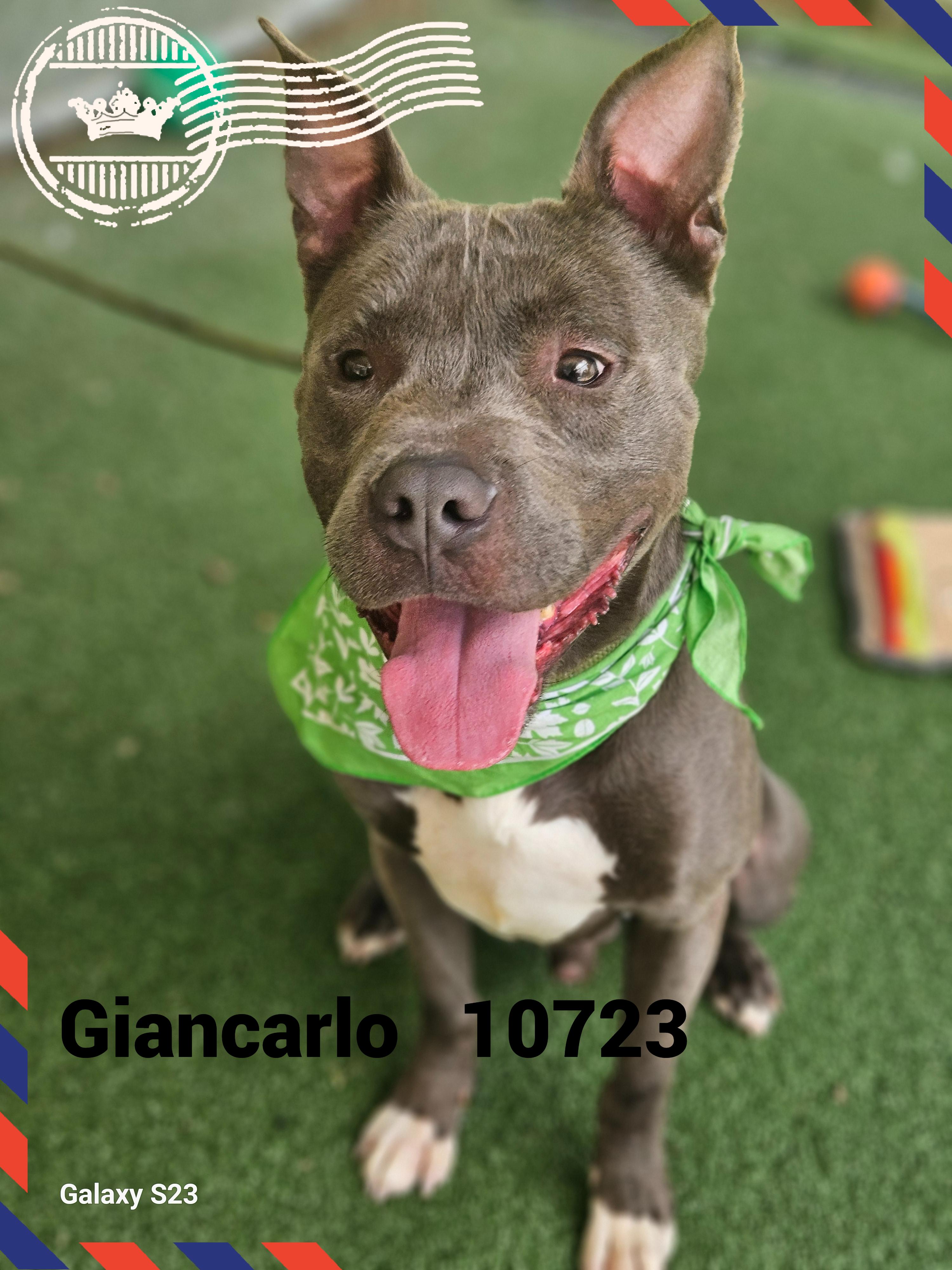 GIANCARLO