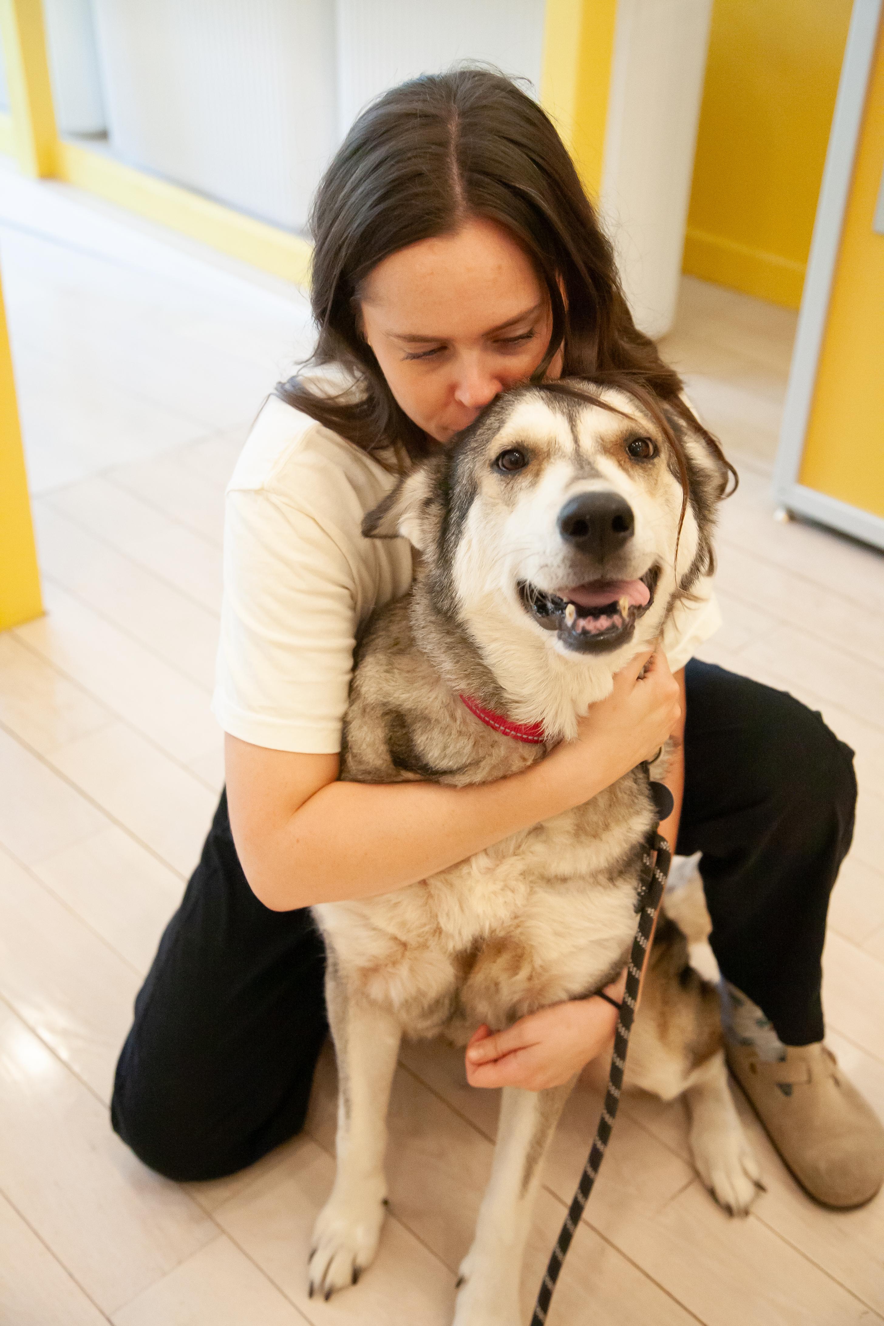 Enlarge Kita, a Adoptable mixed breed in Franklin, TN image 3/5