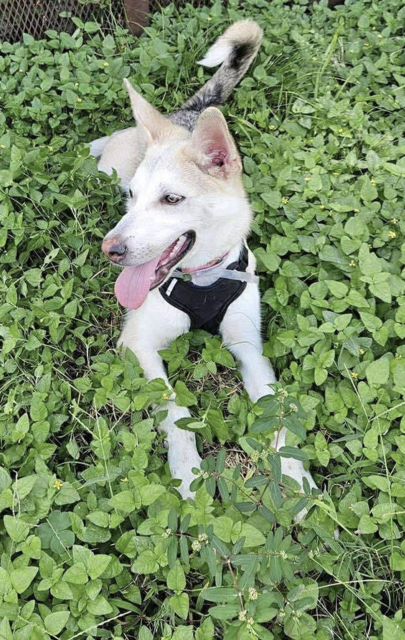 Annalise thumbnail 2