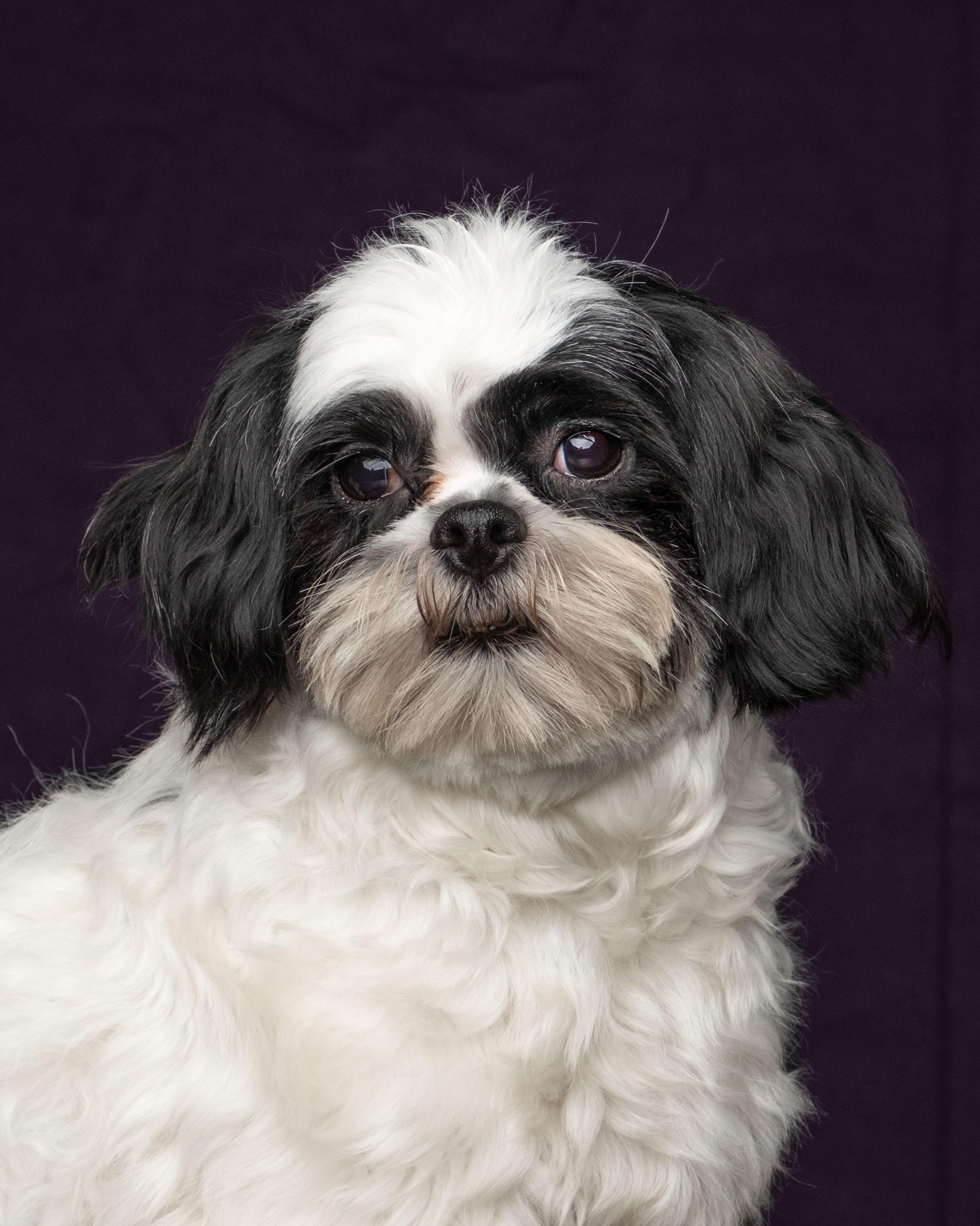 Cooper