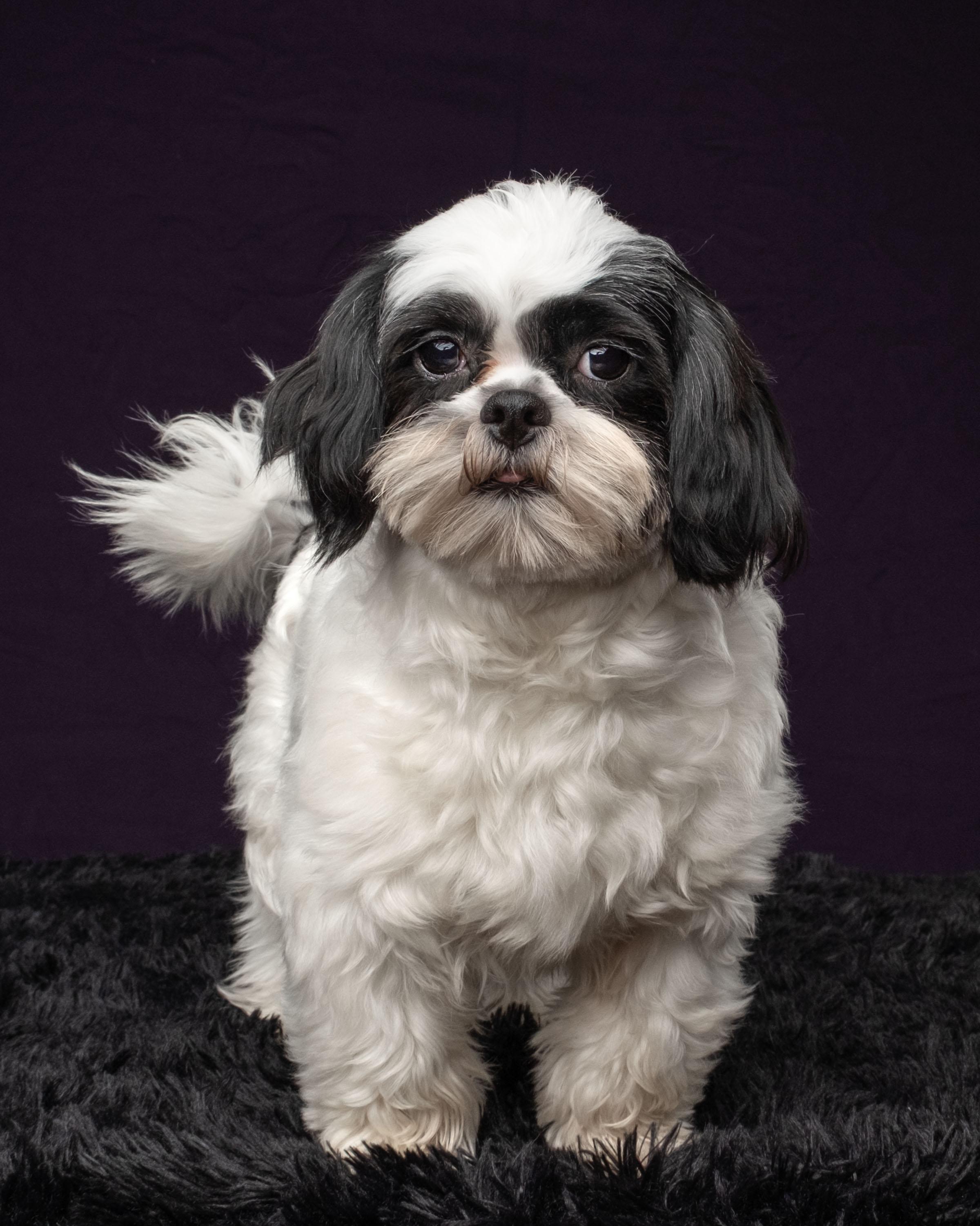 Cooper