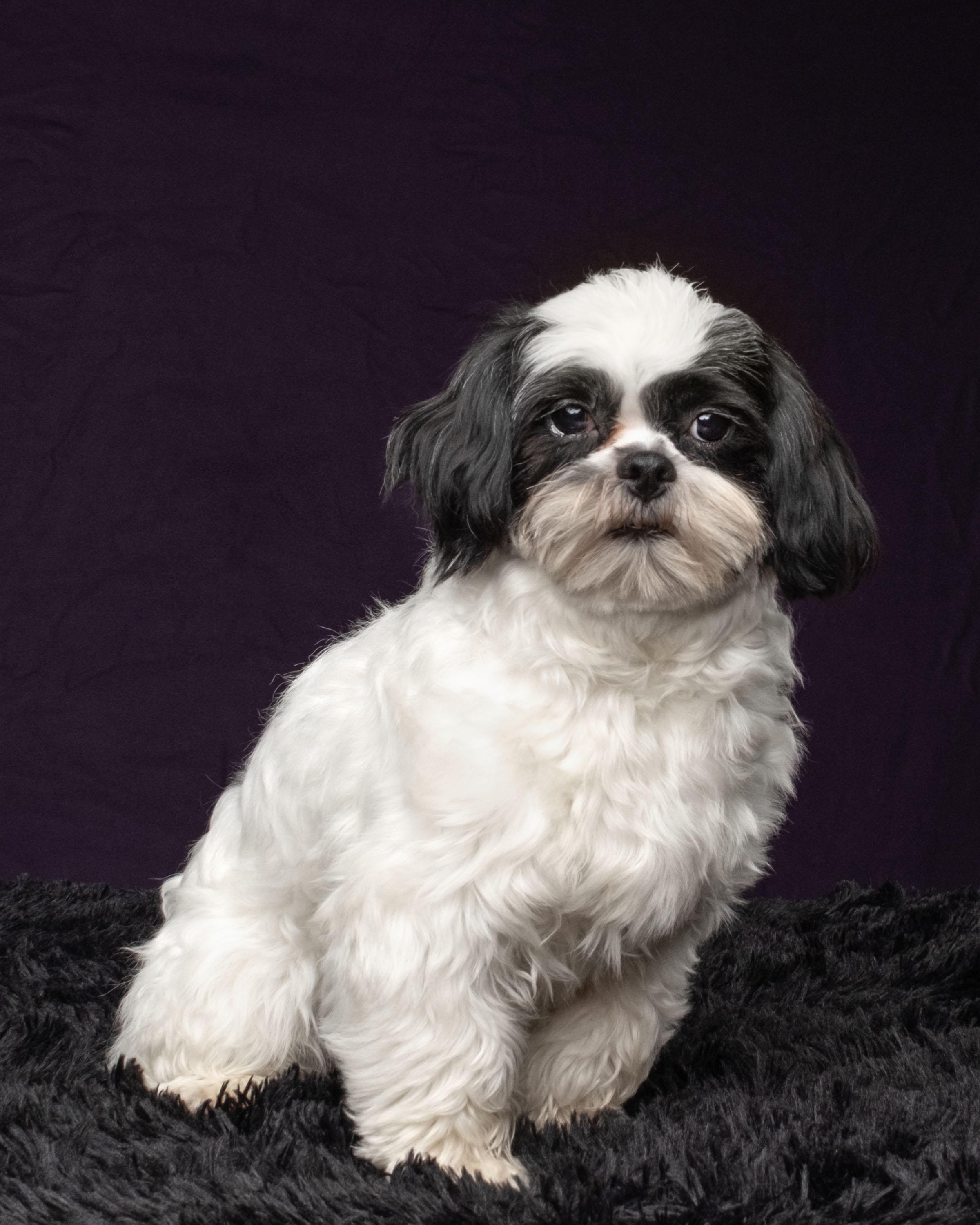 Cooper