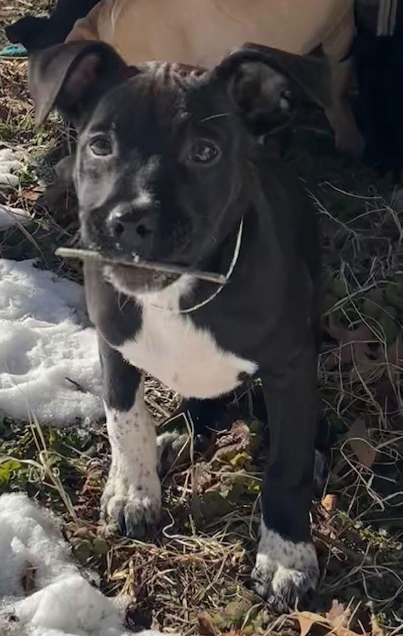 Rocky Road — thumbnail 2